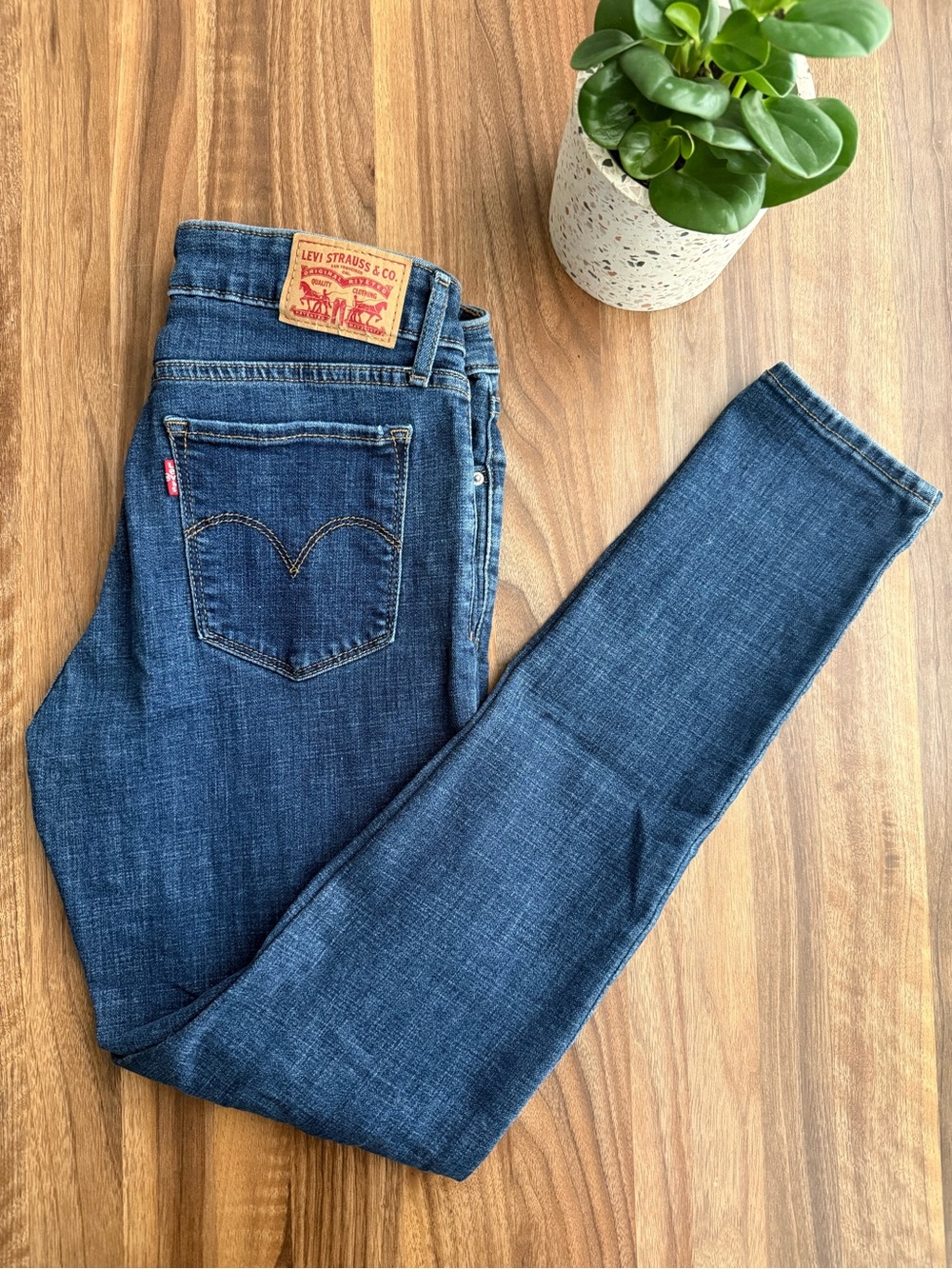 Levi's Medium Wash Distressed Skinny Jeans